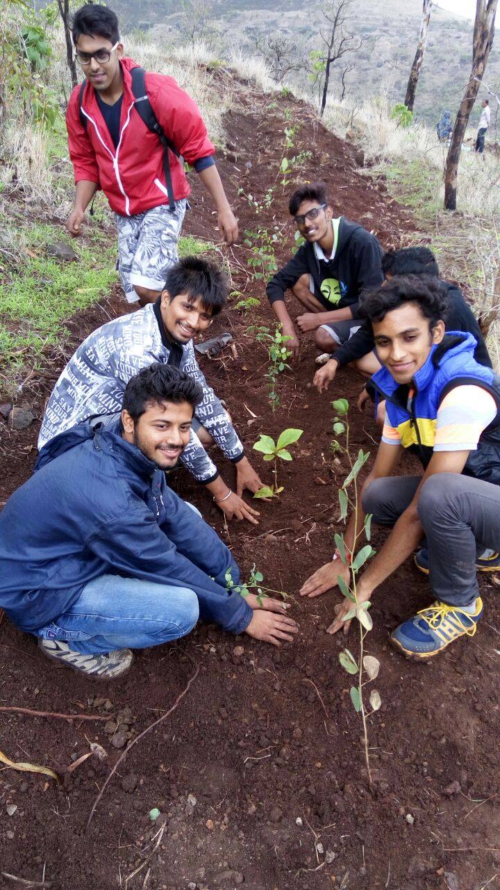Tree Planting in India: More Than Just a Green Initiative